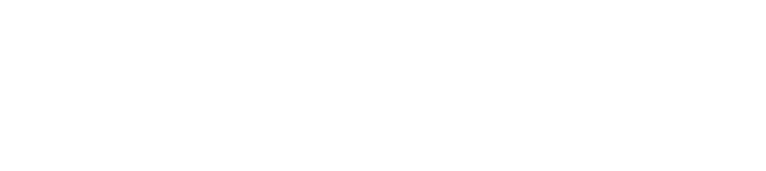 Amoudruz SA